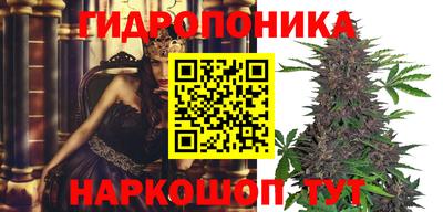 трава Берёзовский