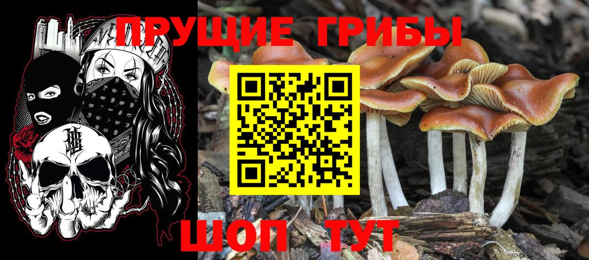 Канабис Видное
