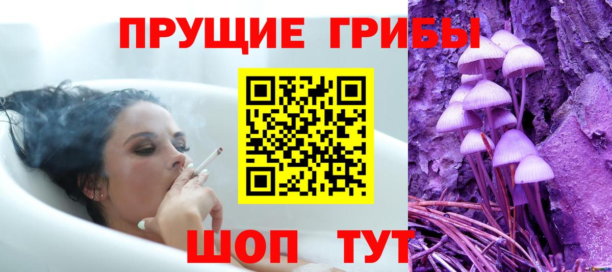 Псилоцибиновые грибы Cubensis Видное