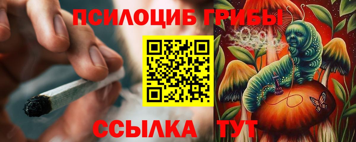 Видное  Псилоцибиновые грибы Magic Shrooms  Галлюциногенные грибы мицелий  Вход с VPN 